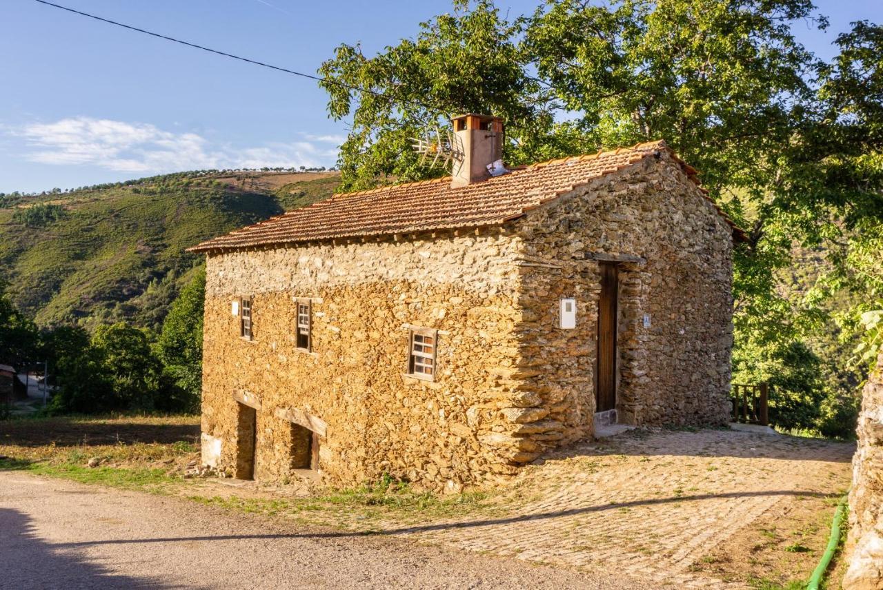 Casa Da Corrica - Alojamento Local Negreda Exterior photo
